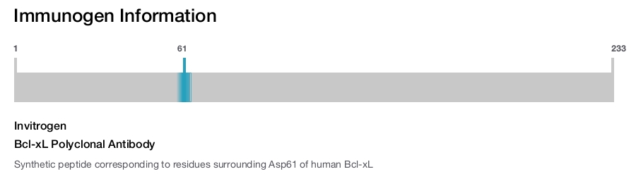 Bcl-xL Polyclonal Antibody