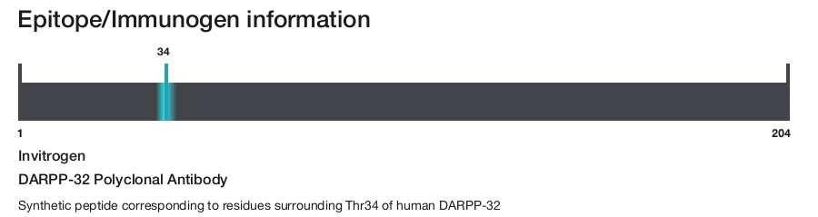 DARPP-32 Polyclonal Antibody