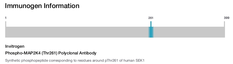Phospho-MAP2K4 (Thr261) Polyclonal Antibody
