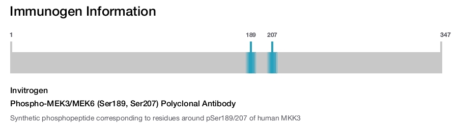 Phospho-MEK3/MEK6 (Ser189, Ser207) Polyclonal Antibody