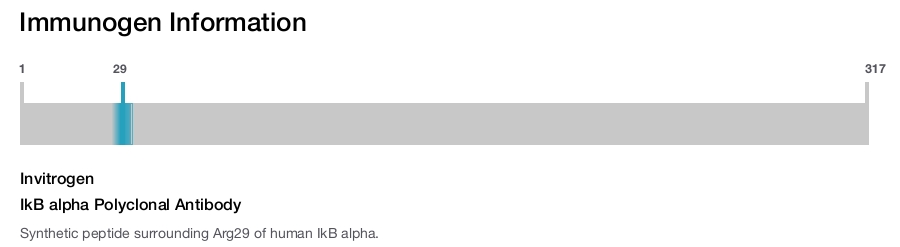 IkB alpha Polyclonal Antibody