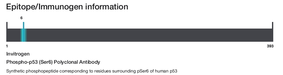 Phospho-p53 (Ser6) Polyclonal Antibody