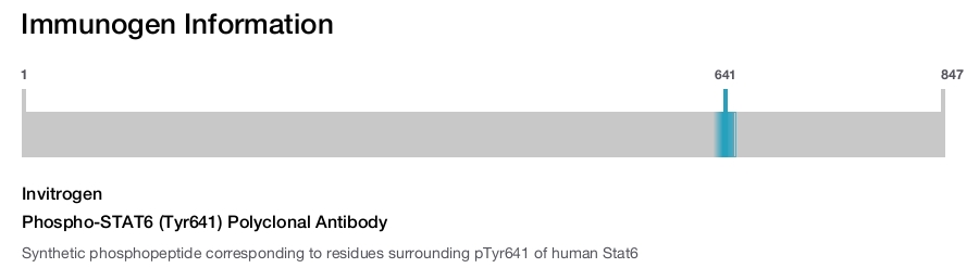Phospho-STAT6 (Tyr641) Polyclonal Antibody