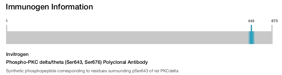 Phospho-PKC delta/theta (Ser643, Ser676) Polyclonal Antibody