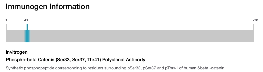 Phospho-beta Catenin (Ser33, Ser37, Thr41) Polyclonal Antibody
