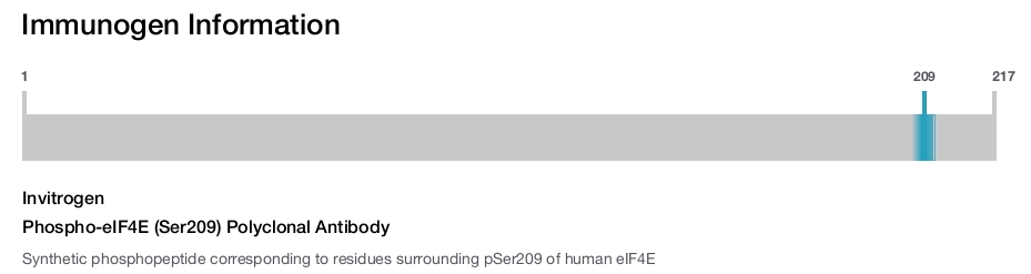 Phospho-eIF4E (Ser209) Polyclonal Antibody
