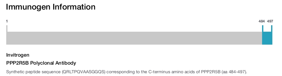 PPP2R5B Polyclonal Antibody