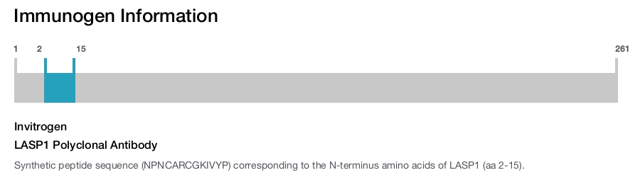 LASP1 Polyclonal Antibody