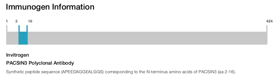 PACSIN3 Polyclonal Antibody