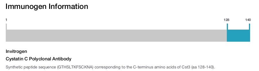 Cystatin C Polyclonal Antibody