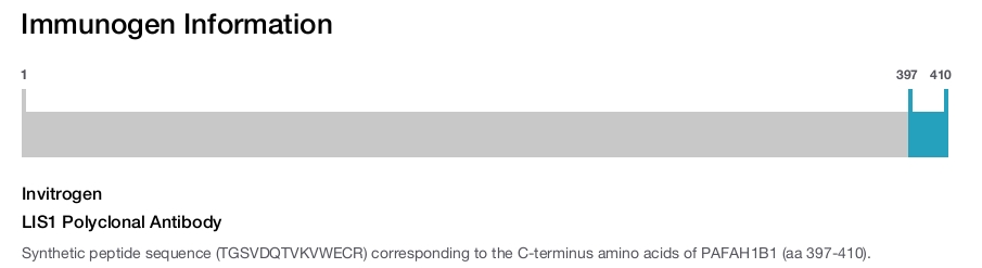 LIS1 Polyclonal Antibody