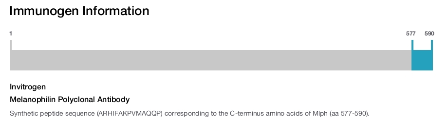 Melanophilin Polyclonal Antibody