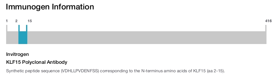 KLF15 Polyclonal Antibody