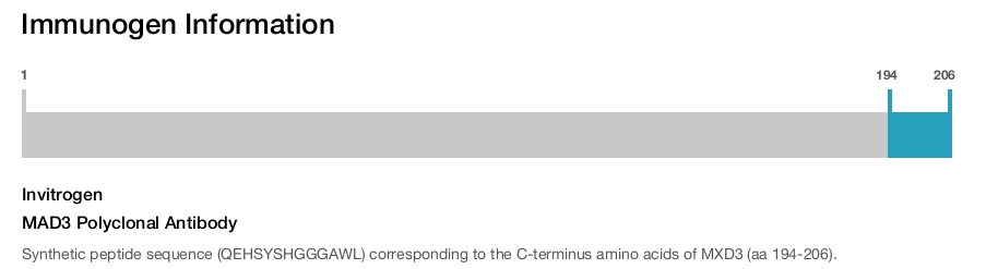 MAD3 Polyclonal Antibody