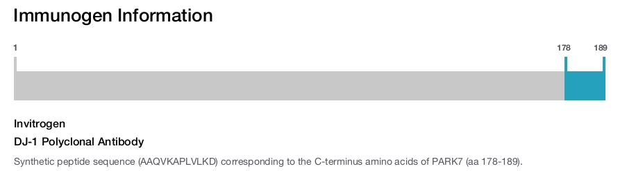 DJ-1 Polyclonal Antibody