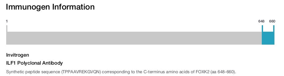 ILF1 Polyclonal Antibody