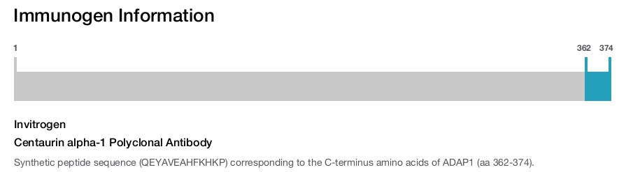 Centaurin alpha-1 Polyclonal Antibody
