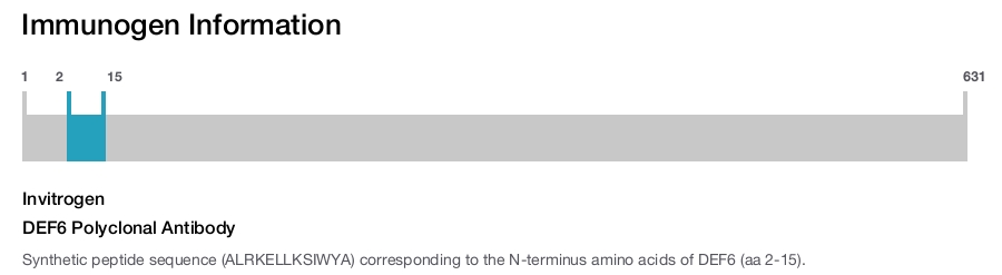DEF6 Polyclonal Antibody