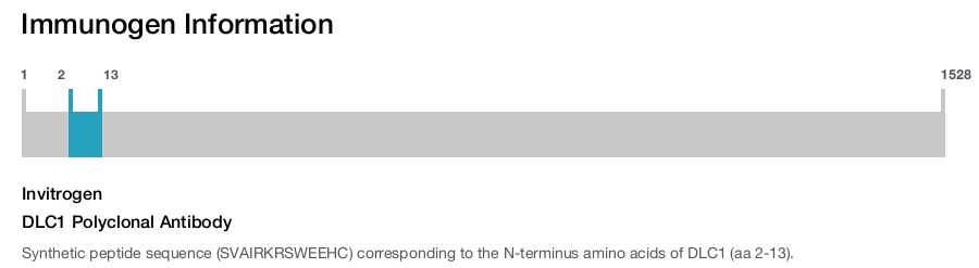 DLC1 Polyclonal Antibody