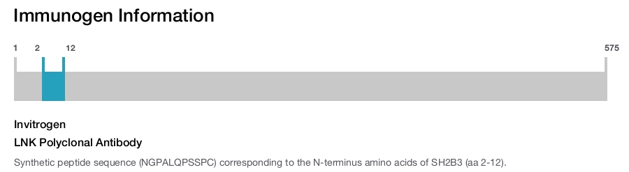LNK Polyclonal Antibody