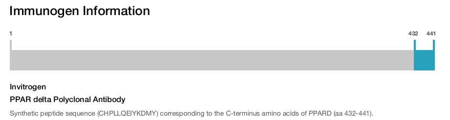 PPAR delta Polyclonal Antibody