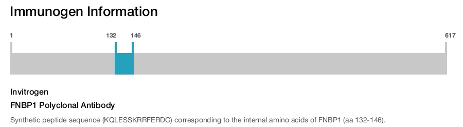 FNBP1 Polyclonal Antibody