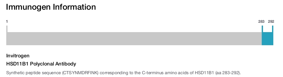 HSD11B1 Polyclonal Antibody
