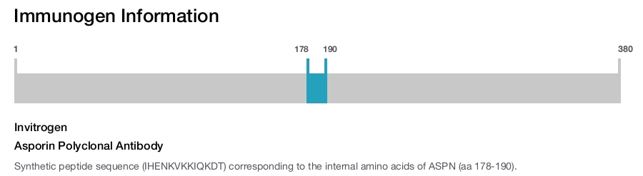 Asporin Polyclonal Antibody
