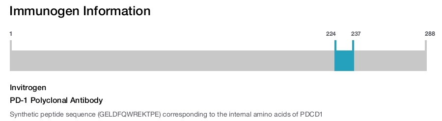 PD-1 Polyclonal Antibody