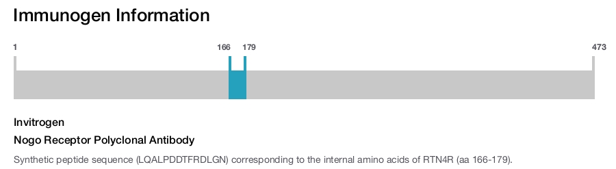 Nogo Receptor Polyclonal Antibody