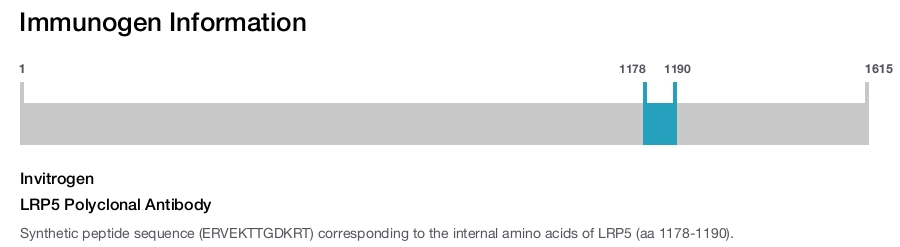 LRP5 Polyclonal Antibody