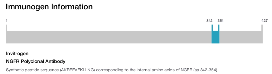 NGFR Polyclonal Antibody