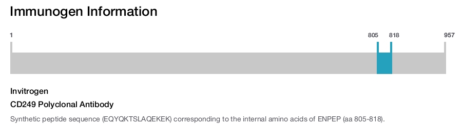 CD249 Polyclonal Antibody