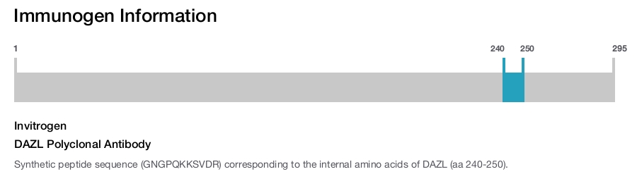 DAZL Polyclonal Antibody