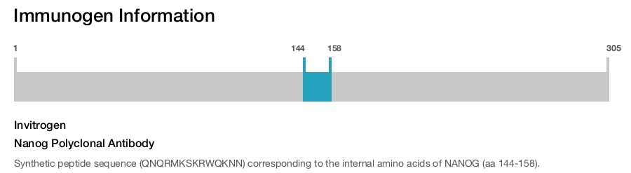 Nanog Polyclonal Antibody