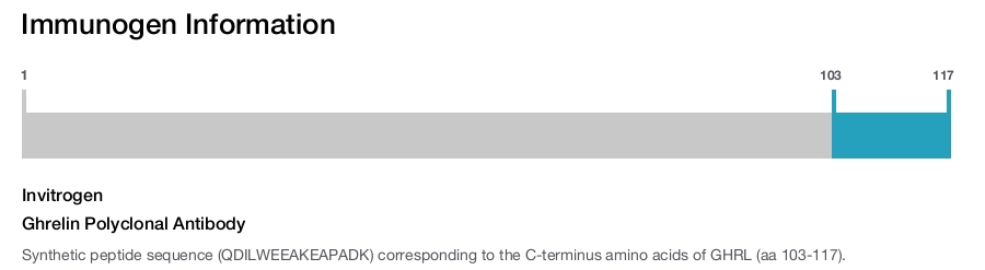 Ghrelin Polyclonal Antibody