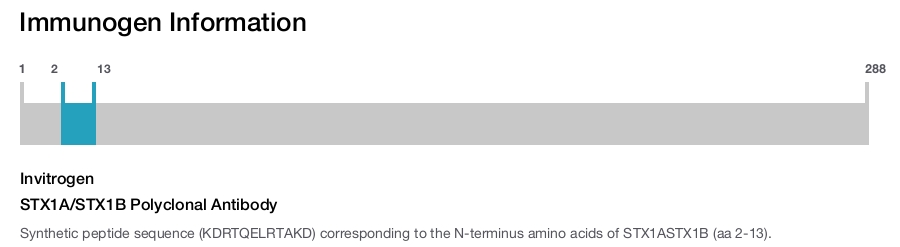STX1A/STX1B Polyclonal Antibody