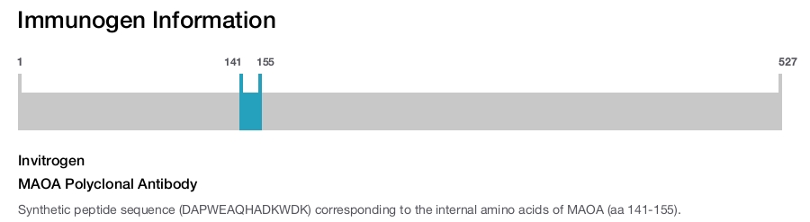 MAOA Polyclonal Antibody