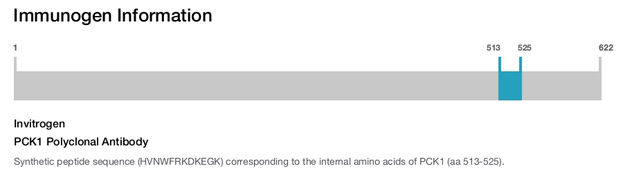 PCK1 Polyclonal Antibody