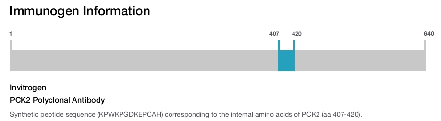 PCK2 Polyclonal Antibody