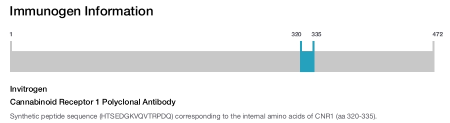 Cannabinoid Receptor 1 Polyclonal Antibody
