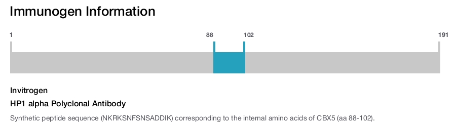 HP1 alpha Polyclonal Antibody