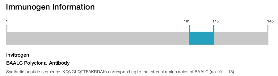 BAALC Polyclonal Antibody