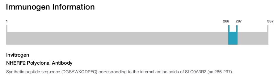 NHERF2 Polyclonal Antibody