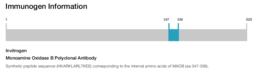 Monoamine Oxidase B Polyclonal Antibody