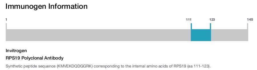 RPS19 Polyclonal Antibody