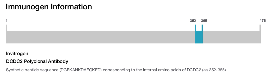 DCDC2 Polyclonal Antibody