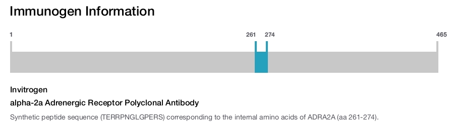 alpha-2a Adrenergic Receptor Polyclonal Antibody