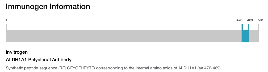 ALDH1A1 Polyclonal Antibody