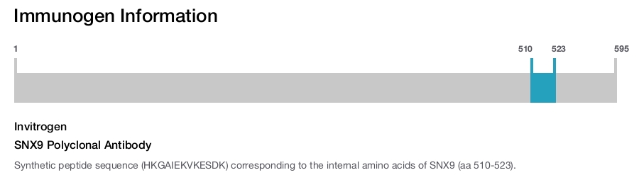 SNX9 Polyclonal Antibody